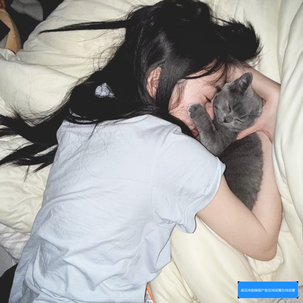 麻花传剧的国产剧怎么看？哪里可以在线观看中文版的详细介绍