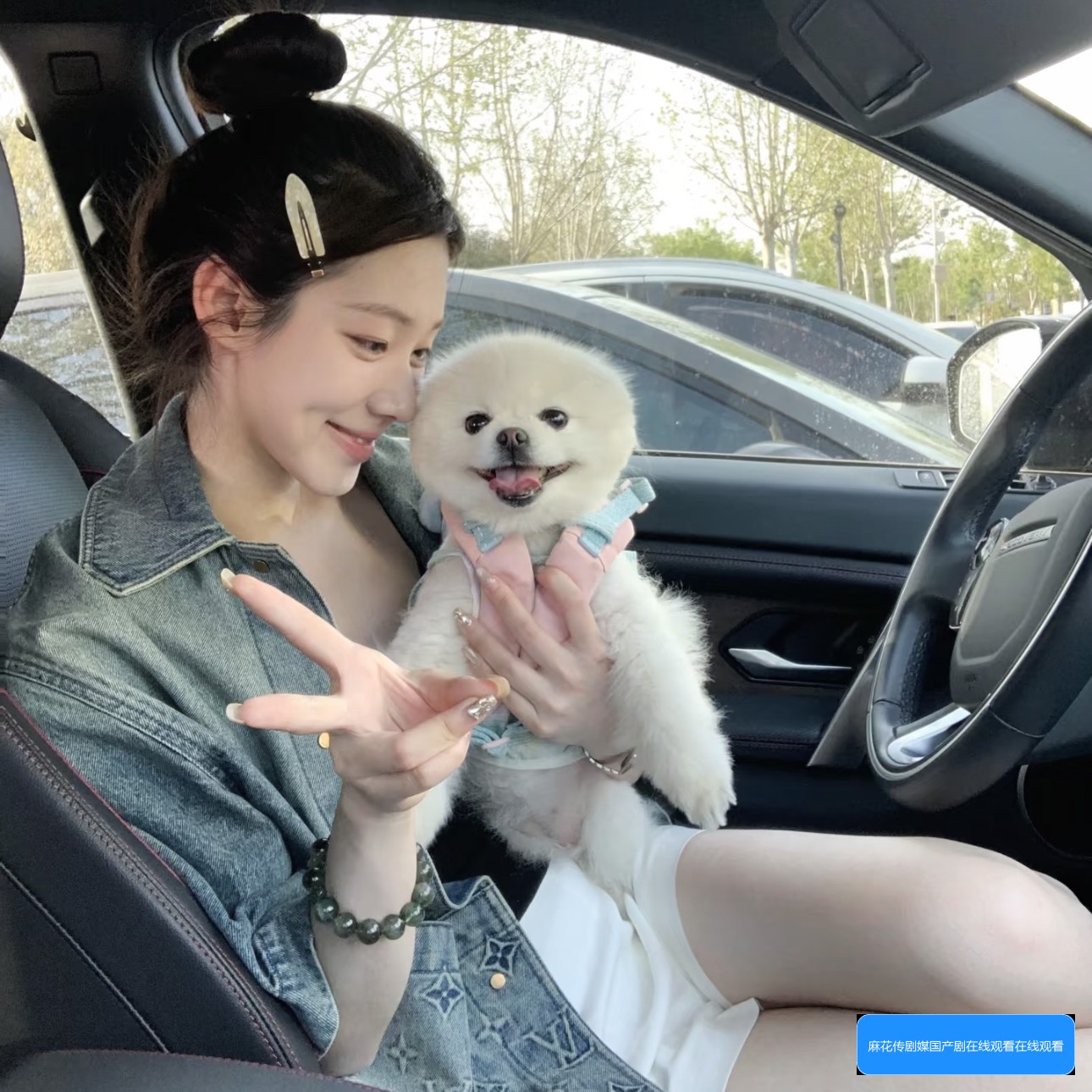 麻花传剧的国产剧如何在线观看中文版有哪些途径和方法